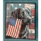 American Flag Lab Silky Premium Fleece No-Sew Throw Fleece Fabric Kit (50x60)